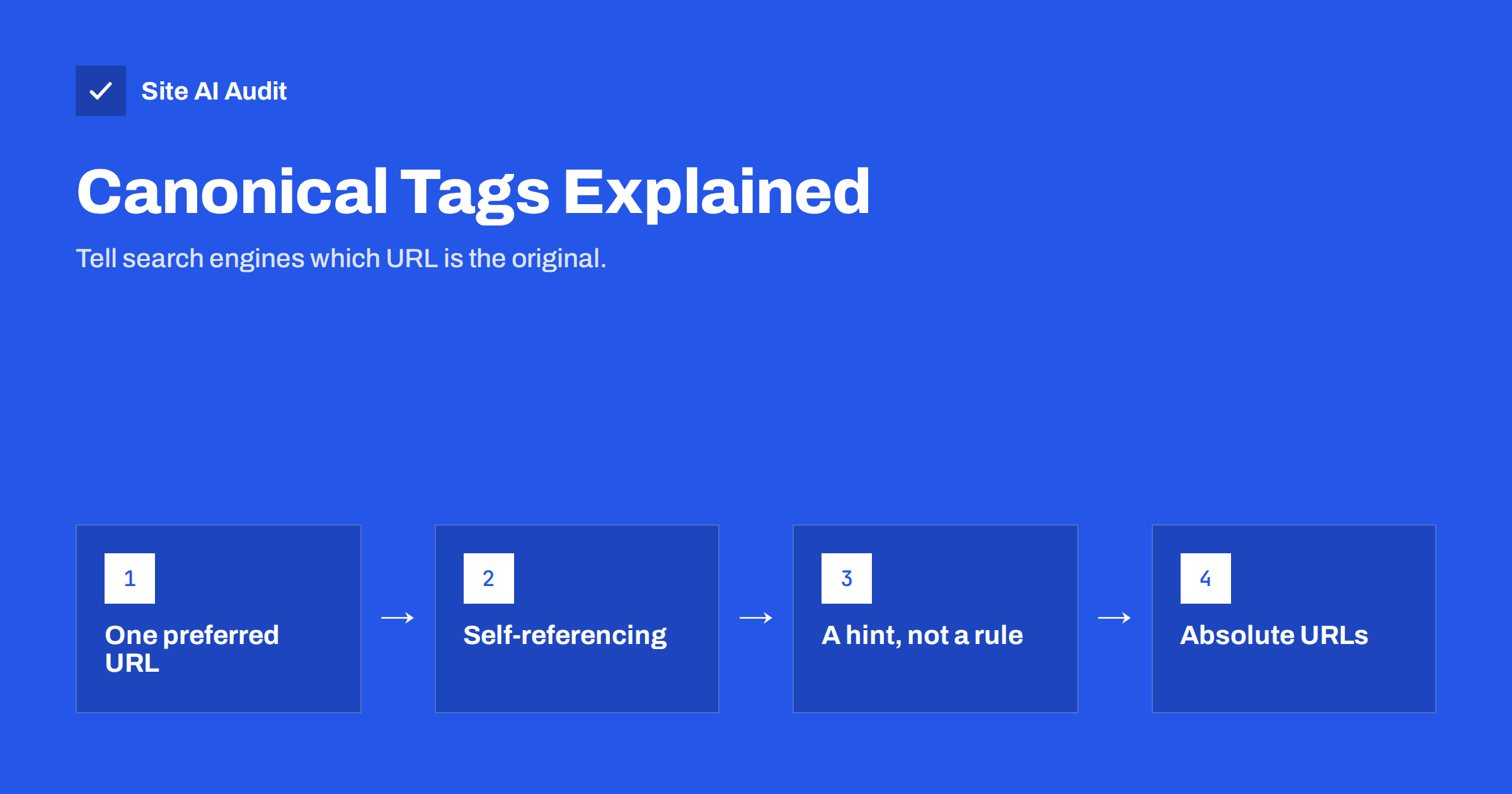 Canonical Tags Explained: How to Handle Duplicate URLs