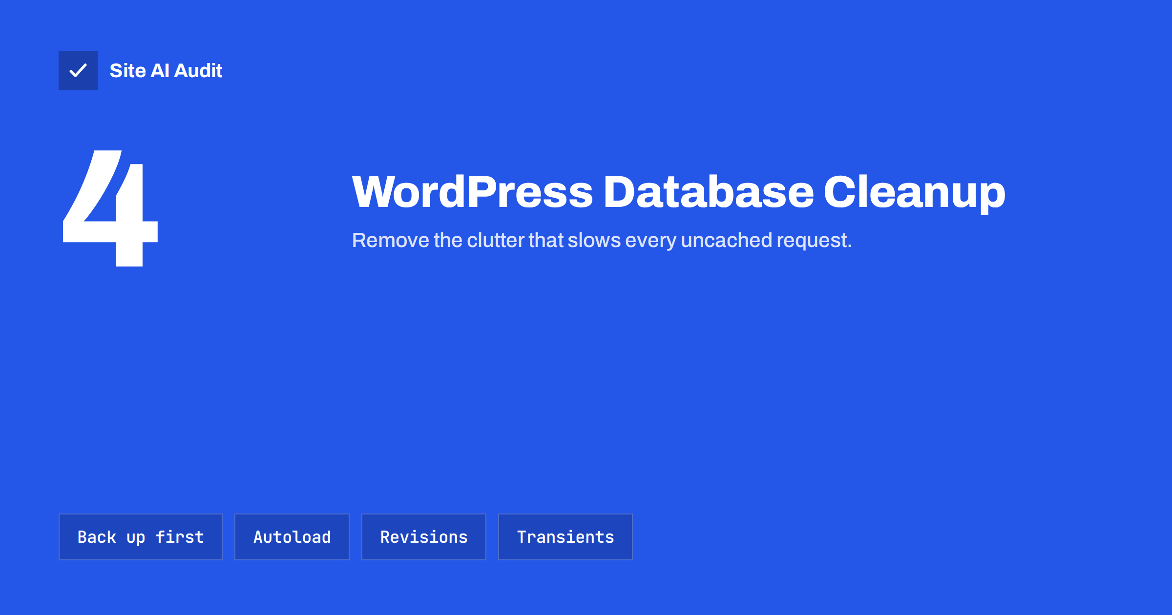 WordPress Database Cleanup: Safe Steps for Better Performance