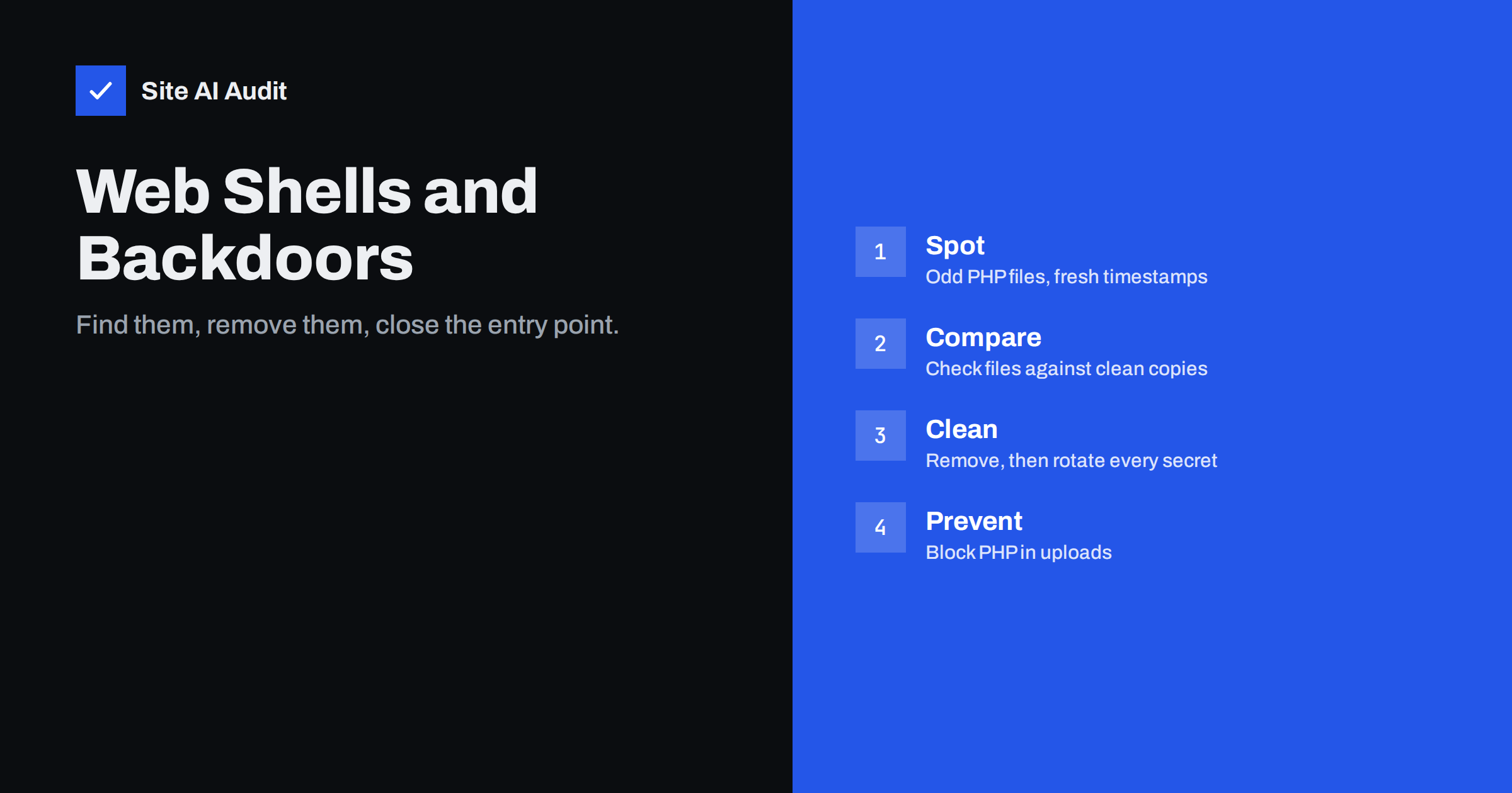 Web Shells and Backdoors: How to Find and Remove Them