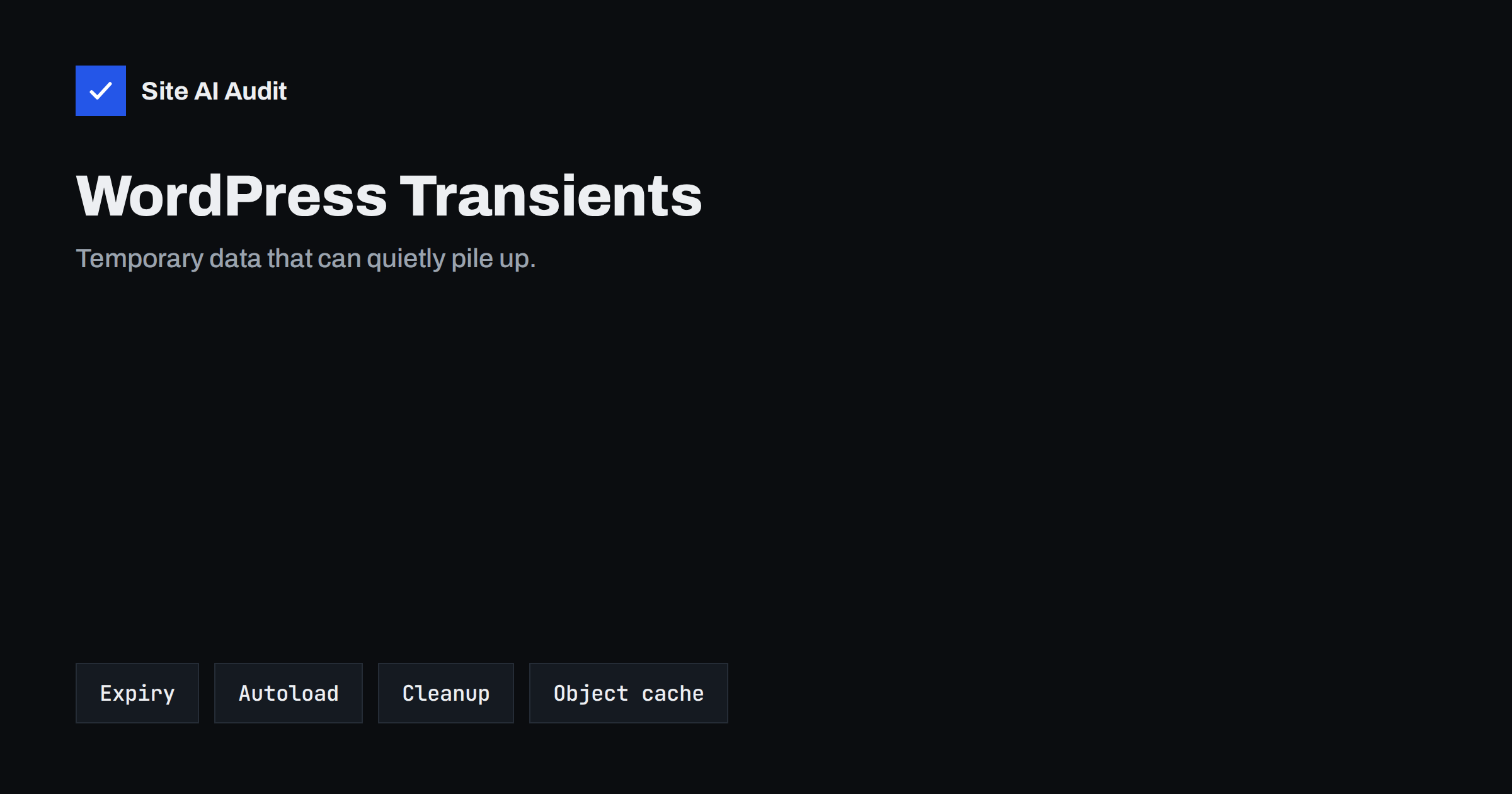 WordPress Transients: When Cached Data Slows the Database